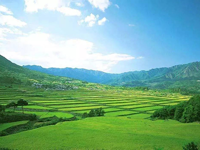 ������ȫ�������{�鶽��20�����Ͱ������Ĺ����Mչ,20��ʡ���ѽM���_չ�����Ĺ���