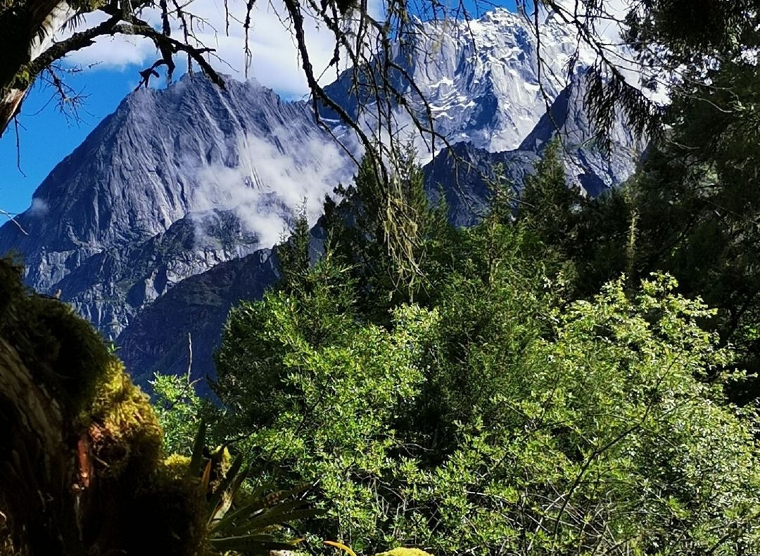 2019���Ĵ��������O�y�������L��ӛ �������O�y �����o���Gɫ���C�츮